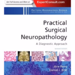 Practical Surgical Neuropathology: A Diagnostic Approach - 2nd Edition