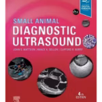 Small Animal Diagnostic Ultrasound -4th Edition