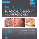 Netter's Surgical Anatomy and Approaches - 2nd Edition Medical Textbook