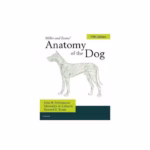 Miller's Anatomy of the Dog-5th Edition