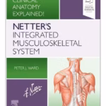 Netter's Integrated Musculoskeletal System-1st Edition
