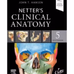 Netter's Clinical Anatomy - 5th Edition