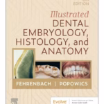 Illustrated Dental Embryology, Histology, and Anatomy -6th Edition