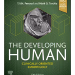 The Developing Human: Clinically Oriented Embryology - 12th Edition Clinical Guide