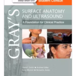 Gray’s Surface Anatomy and Ultrasound: A Foundation for Clinical Practice - 1st Edition