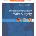 Principles and Practice of Wrist Surgery with DVD - 1st Edition Clinical Guide