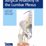 Surgical Anatomy of the Lumbar Plexus 1st Ed.