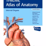 THIEME Atlas of Anatomy : Internal Organs, 4th Ed