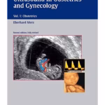 Ultrasound in Obstetrics and Gynecology - Volume 1 Medical Textbook