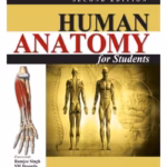Human Anatomy For Students