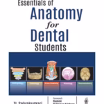 Essentials Of Anatomy For Dental Students