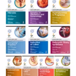 Fogsi Eebr 2025:Ethical & Evidence-Based Recommendations (10 Books Set)