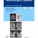 Neurosurgery Updates Vol 2 1st Ed.
