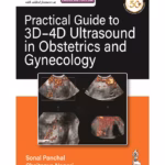 Practical Guide to 3D-4D Ultrasound in Obstetrics and Gynecology - Clinical Guide