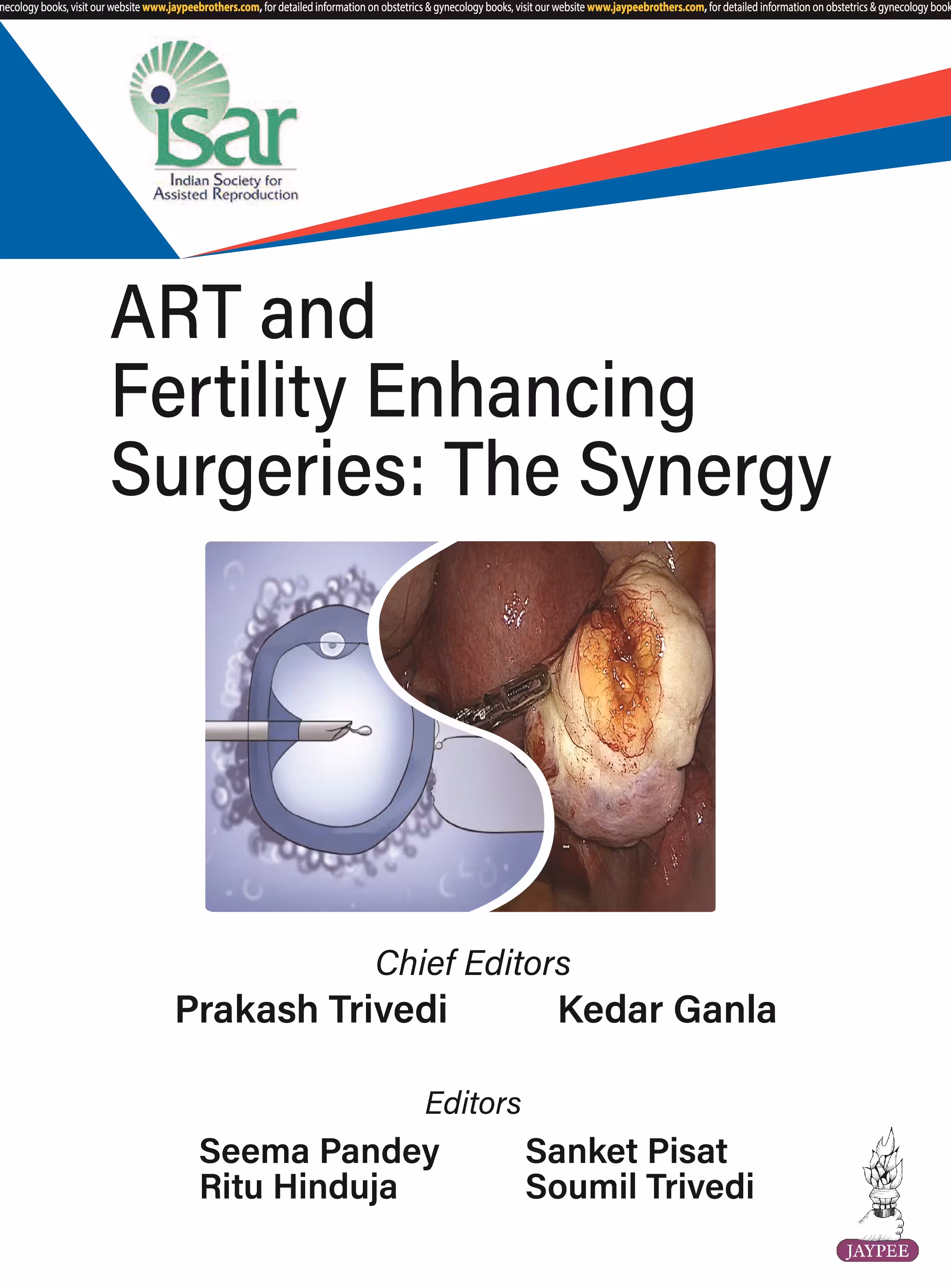 Art and Fertility Enhancing Surgeries: the Synergy - 1st Edition