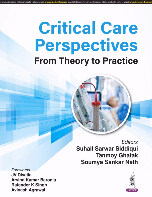 Critical Care Perspectives From Theory To Practice - 1st Edition